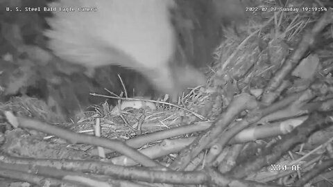 USS Eagles - View of first egg