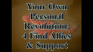 Your Own Personal Revolution Pt 4: Find Allies and Support