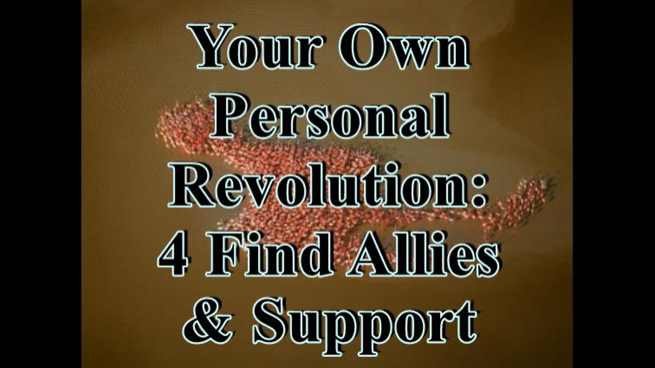 Your Own Personal Revolution Pt 4: Find Allies and Support