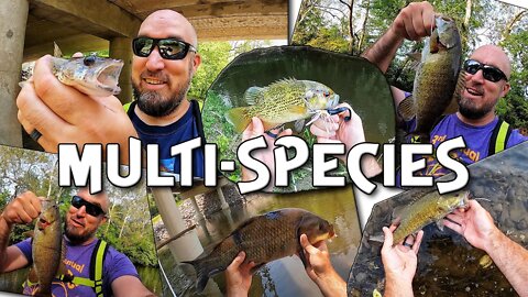 Ohio Multi-Species fishin mission!