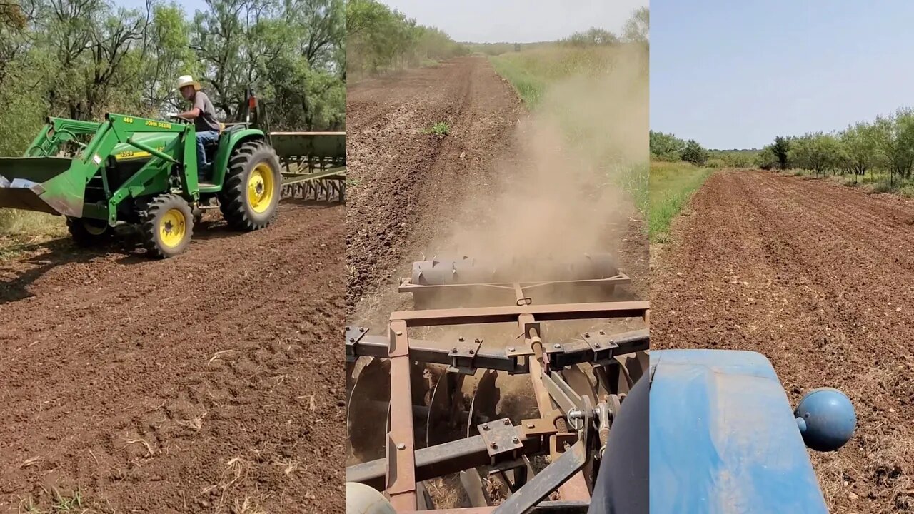 Texas food plot video-Fall food plots 2021