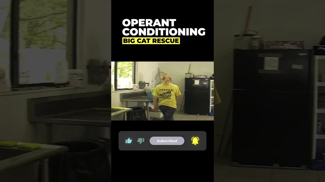 Operant Conditioning~part 8 of 15