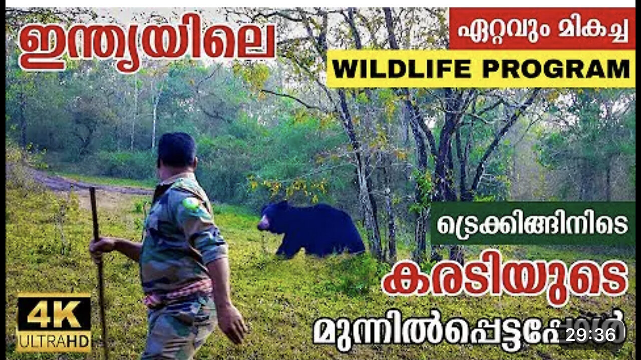 Periyar tiger Trail