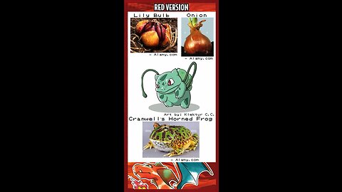 Part 1.4: Bulbasaur Overview