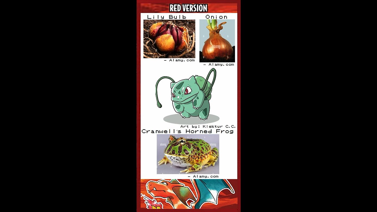 Part 1.4: Bulbasaur Overview