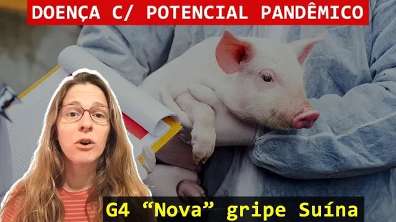 Nova gripe suína na China, devemos nos preocupar? #65 | G4 vírus dos porcos infectam humanos!