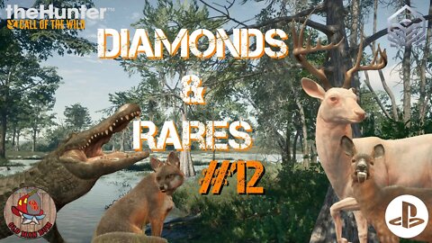 Diamond & Rare montage #12 Console theHunter Call of the Wild