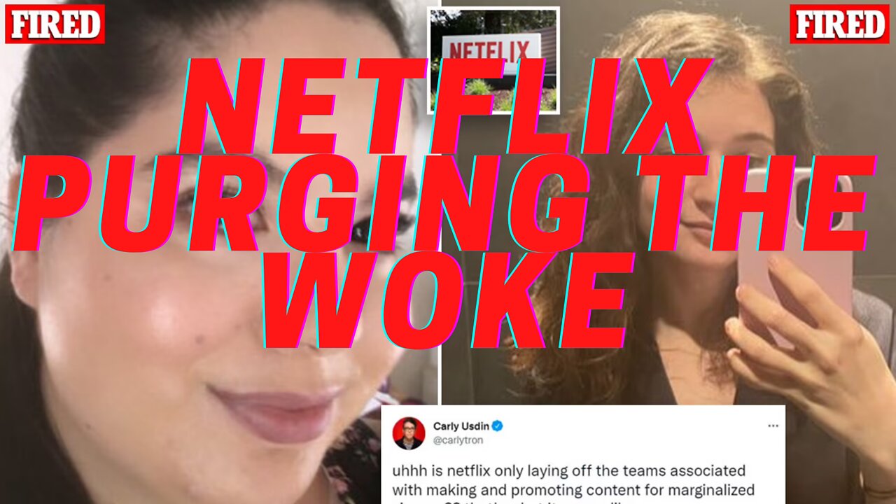 NETFLIX WOKE PURGE