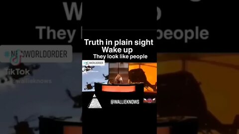 Truth in plane site