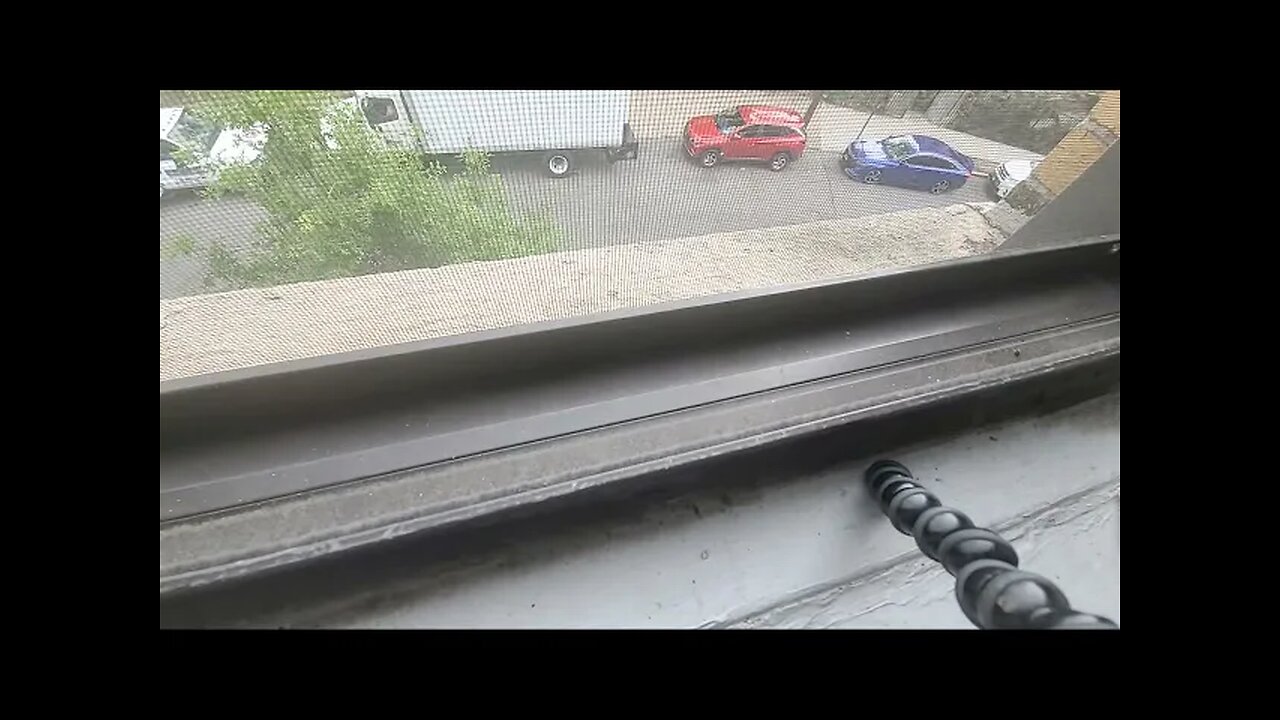 NYCreepSpotlight QUICK UPDATE