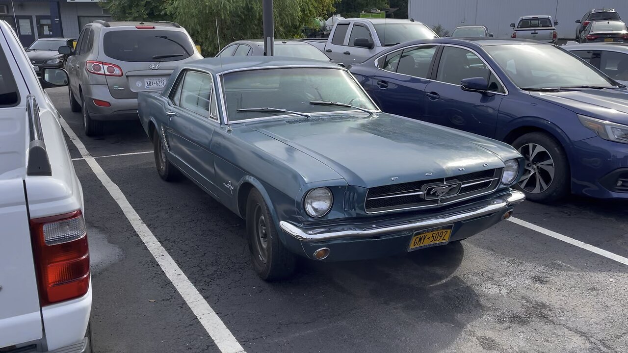 1965 ford mustang… in the wild