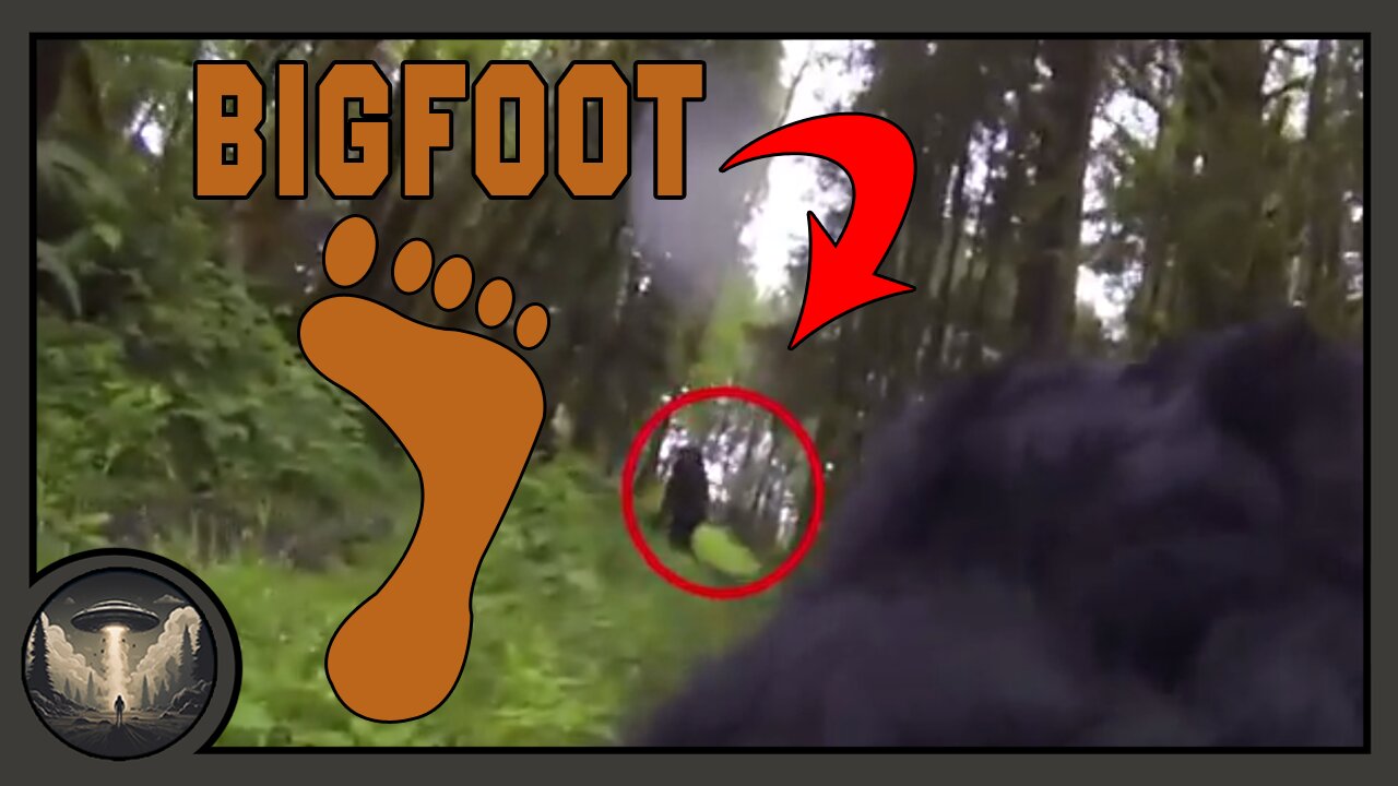 Bigfoot Captured On GoPro By Dog