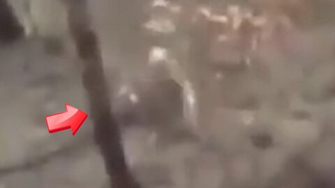 Mysterious figure from the forest is attacked by the photographer [Space]