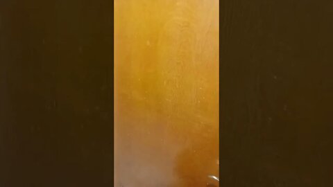 have fun with me dog