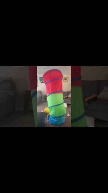 #tiktok #reels #shorts by #tinyjuniorpeanut at #activatestudio