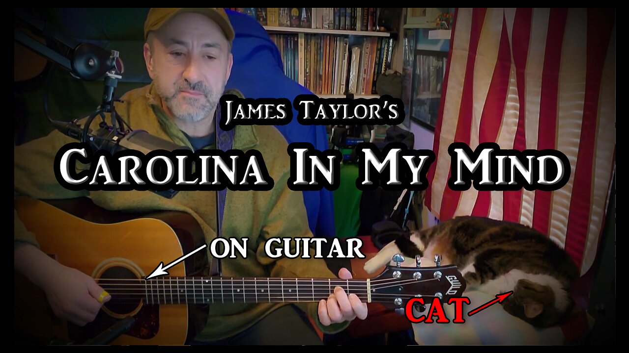 James Taylor's "Carolina In My Mind" on Easy Fingerstyle Guitar (with my cat)