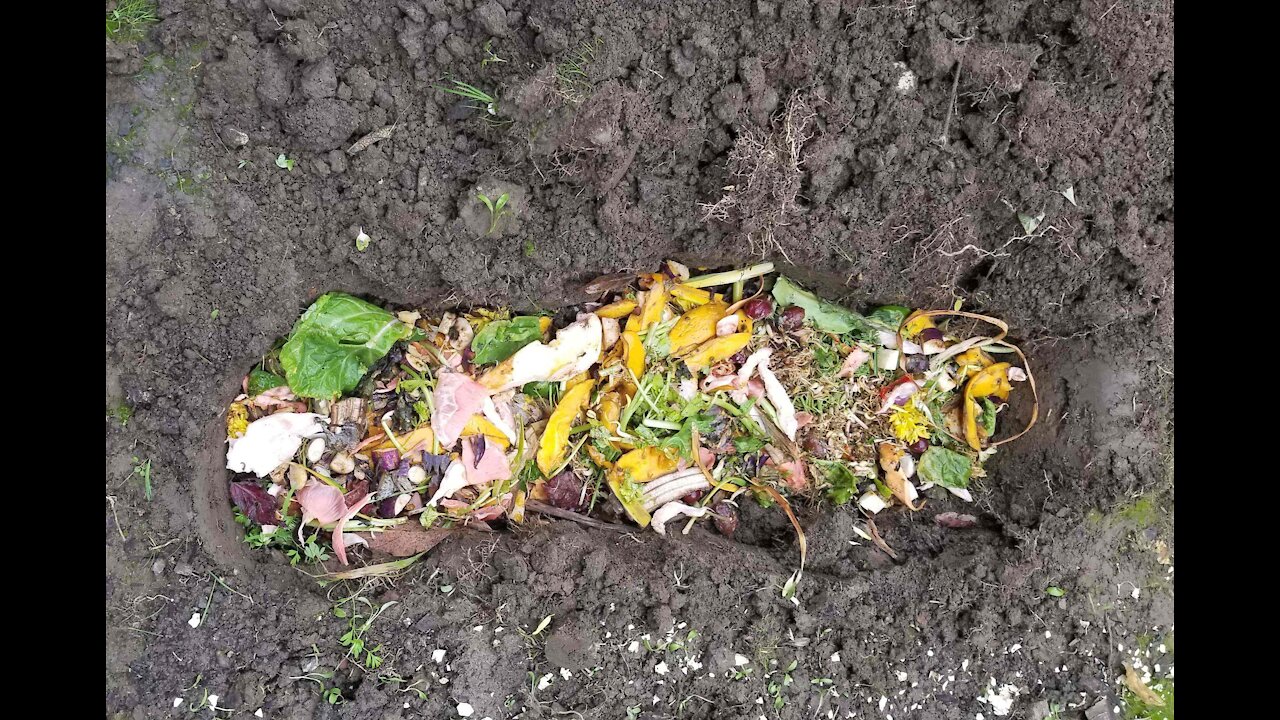Fixing the garden soil