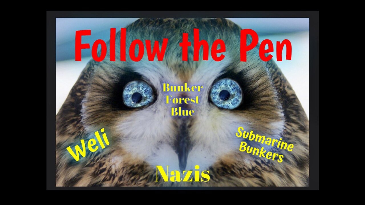 Follow The Pen: Owl's Eye, DJT & COVID-19