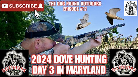 DOVE HUNTING DAY 3 IN MARYLAND WITH SCHRADER’S OUTDOORS!