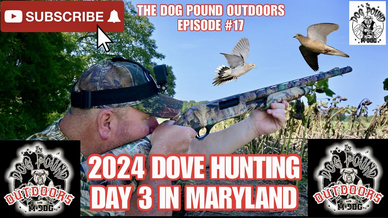 DOVE HUNTING DAY 3 IN MARYLAND WITH SCHRADER’S OUTDOORS!