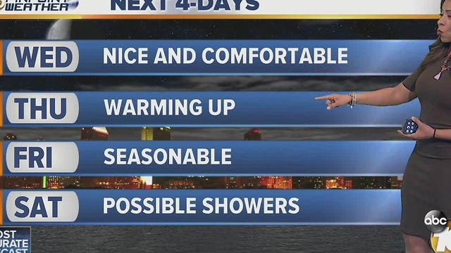 Angelica's Forecast