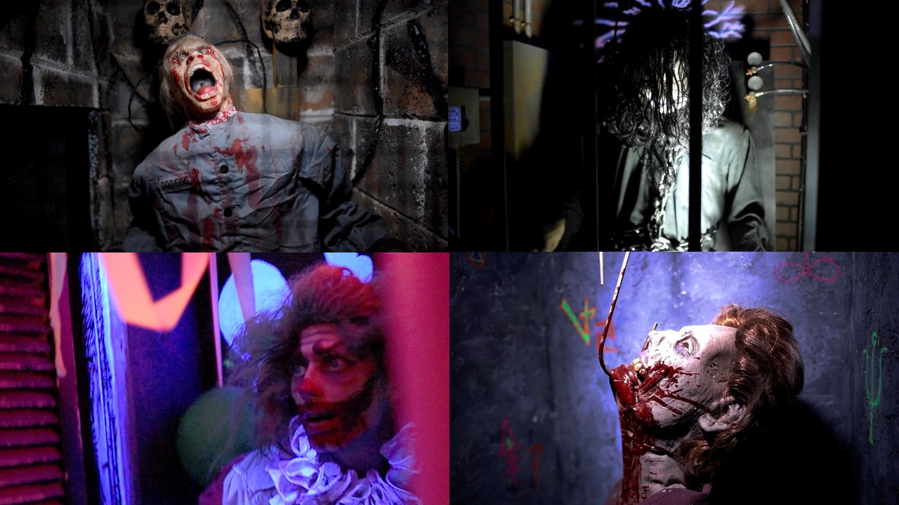 Zone Toxic Woodooliparc