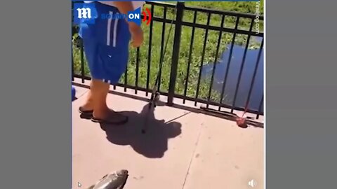 Person Steals Fish & Throws It Back - Is This Theft or a Crime?