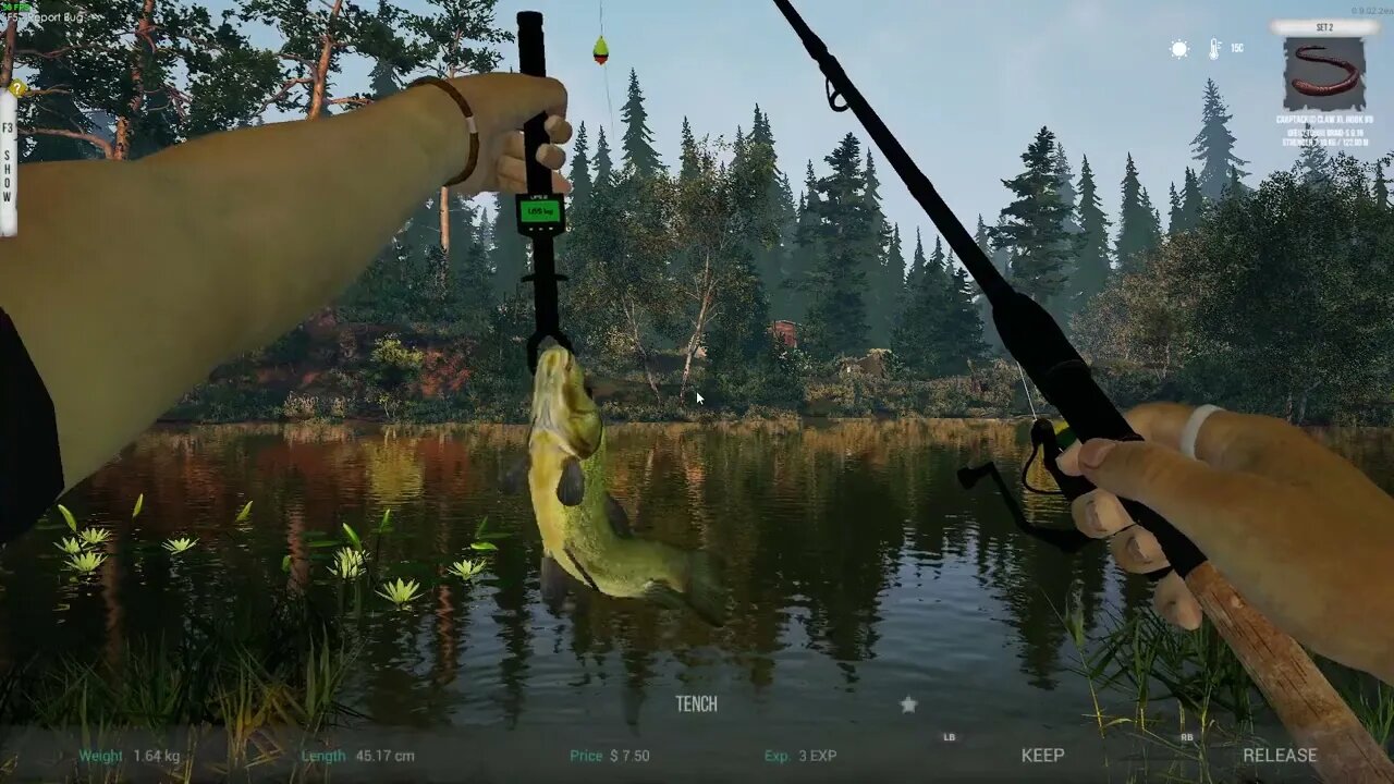 Ultimate Fishing Simulator 2 Zalasie Letnisko Spot 2 Barbel,Tench,Northern Pike,Common Bream.