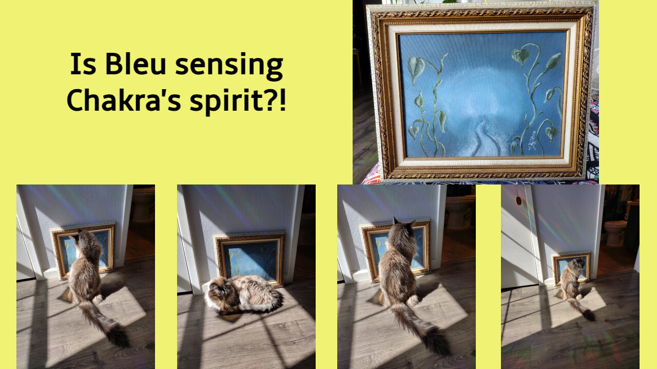 Is Bleu sensing Chakra's spirit?!