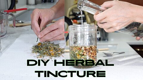 Make our own Fennel Tincture: Natural Remedy