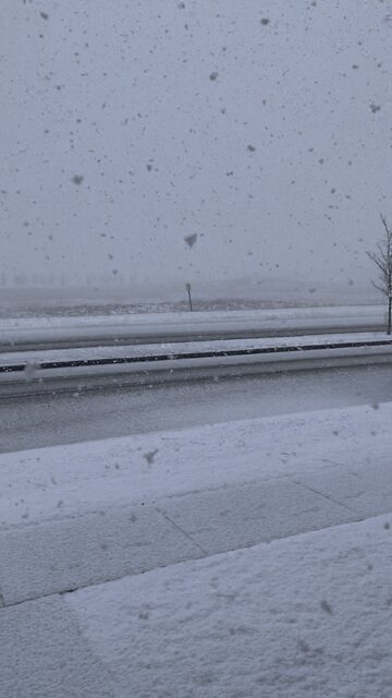 Happy Spring from Calgary!