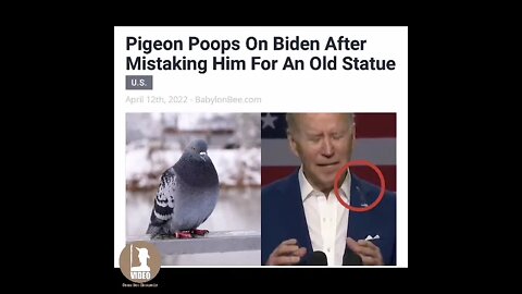 Biden colpito dall'aviazione russa