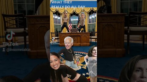 what's really going on in the White House