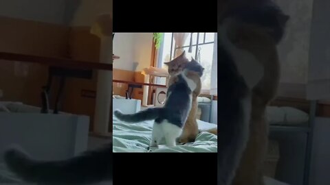 மானாஸ்த்தன்