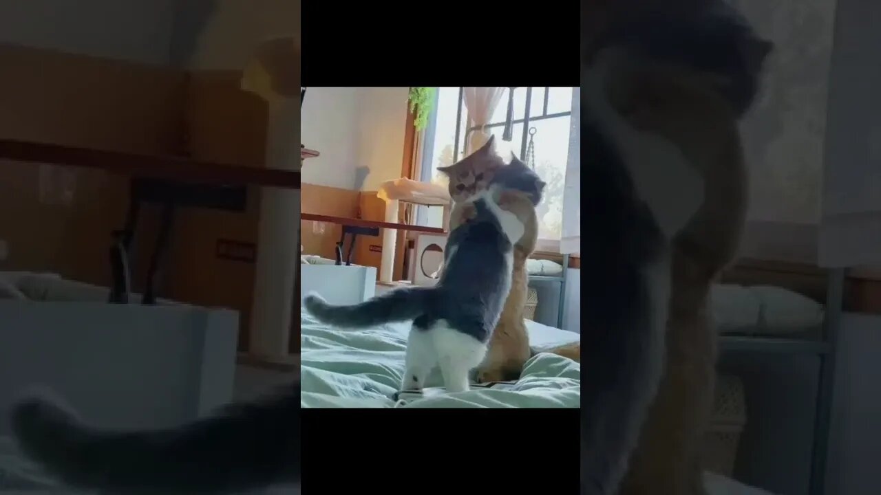 மானாஸ்த்தன்