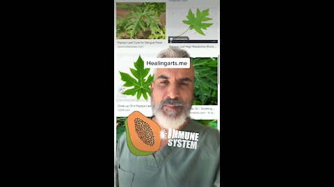 Papaya Leaf Did you know?