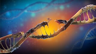 What If Our DNA Stopped Mutating?