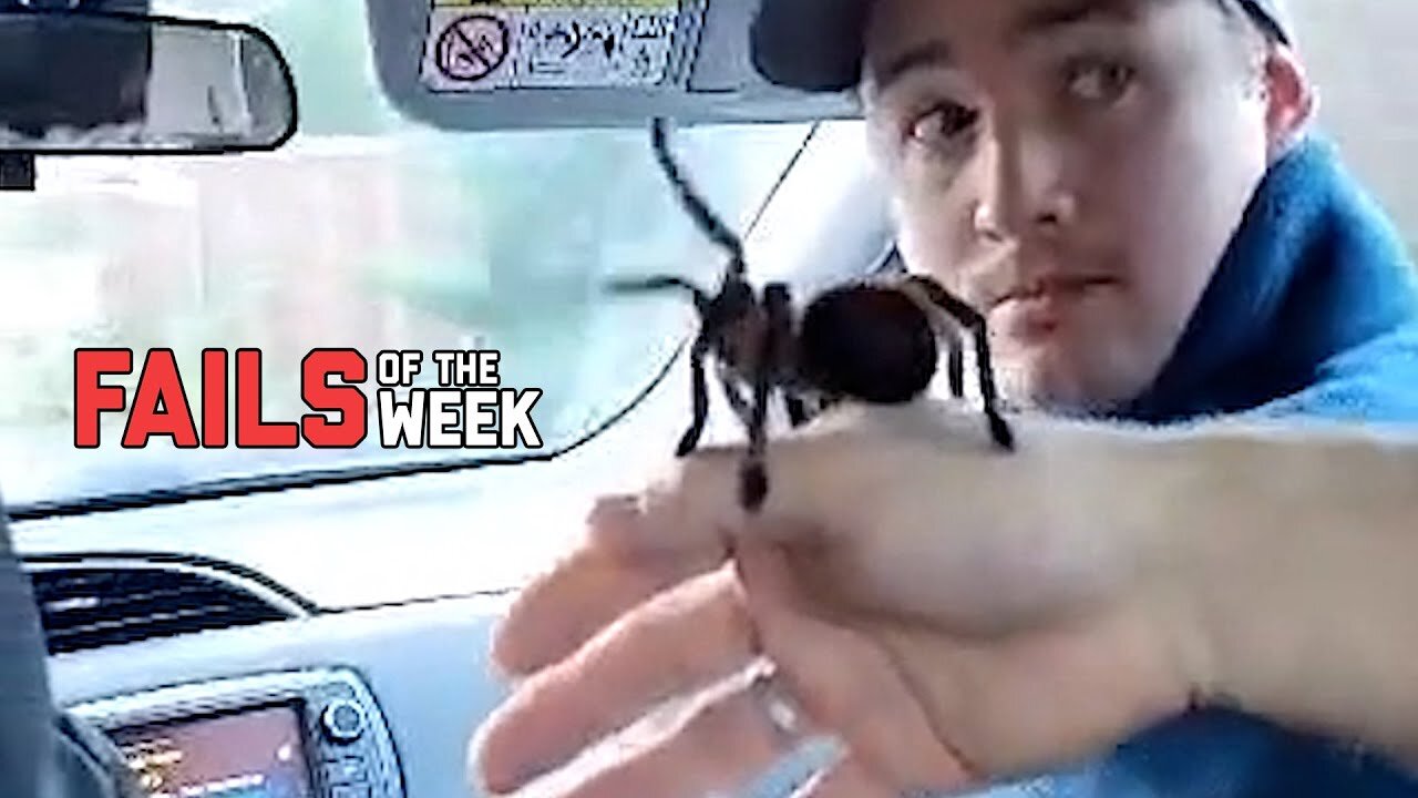 Pet My Spider!! FAILS OF THIS WEEK