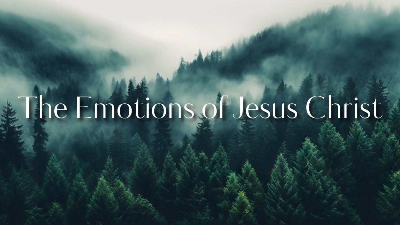 The Emotions of Jesus Christ - Bro. Dillon Awes | Stedfast Baptist Church