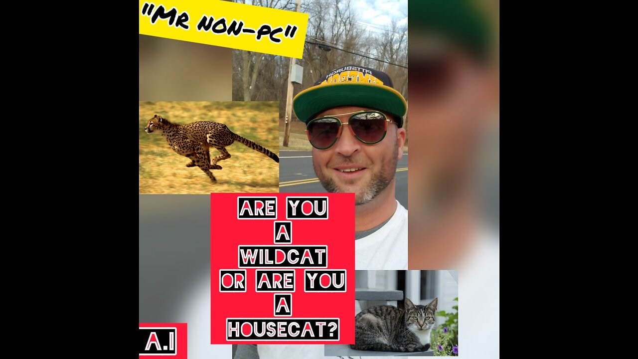 MR. NON-PC - Are You A Wildcat Or Are You A Housecat?