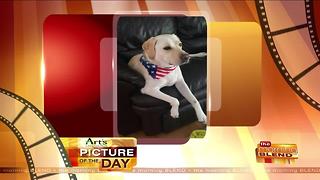 Art's Cameras Plus Picture of the Day for June 23!