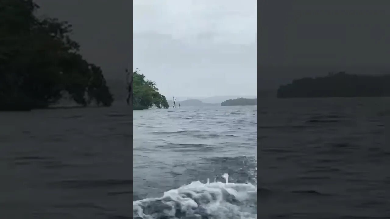 Talakalale Boating #shorts #magical #wow #reels