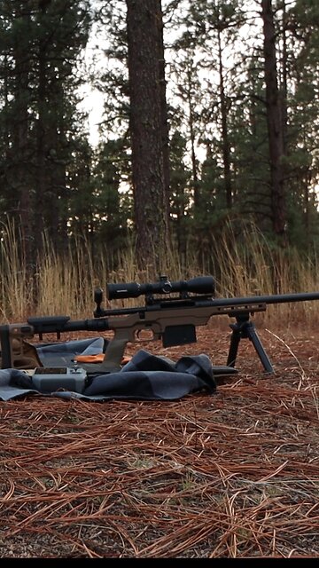 $500 Savage with MDT LSS Gen2 Chassis #MDT #shortvideo #shorts #shoot #outdoors #asmr