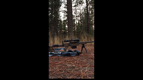 $500 Savage with MDT LSS Gen2 Chassis #MDT #shortvideo #shorts #shoot #outdoors #asmr