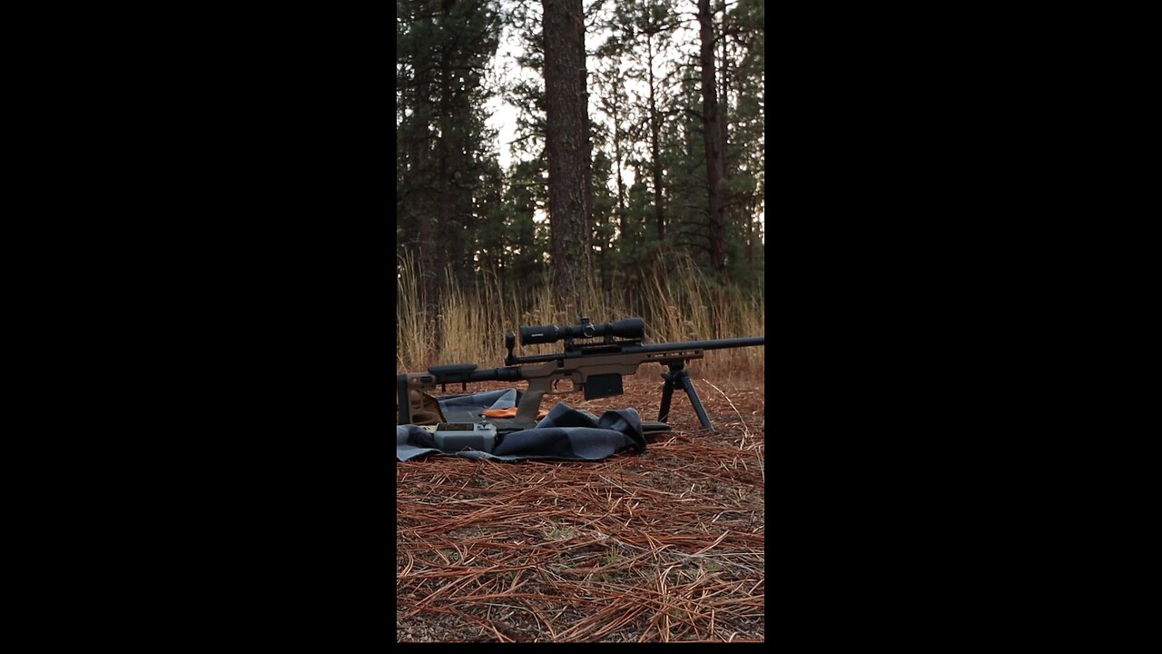 $500 Savage with MDT LSS Gen2 Chassis #MDT #shortvideo #shorts #shoot #outdoors #asmr