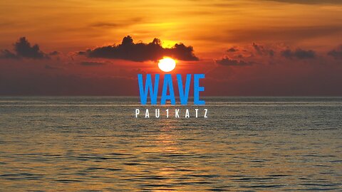 PAU1KATZ - WAVES