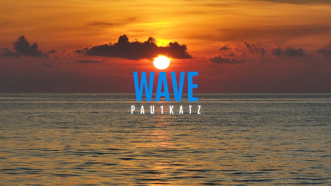 PAU1KATZ - WAVES