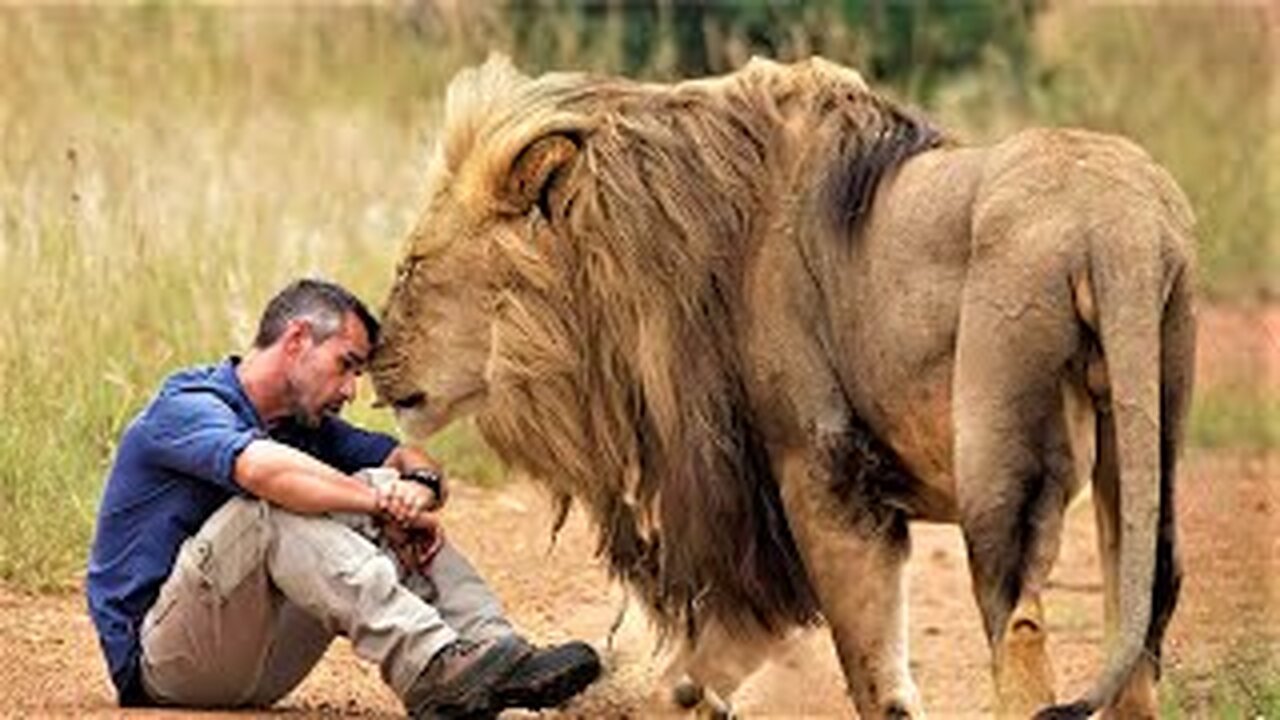 7 Strongest Friendships Between Humans and Wild Animals