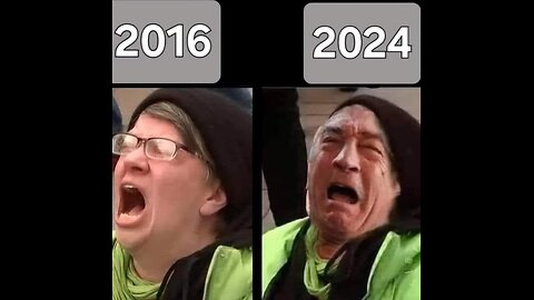 Retards of TikTok Election Edition 2024