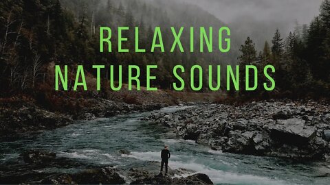 Relaxing Nature Sounds || Meditation Music || Relax Music || Focus Music ||